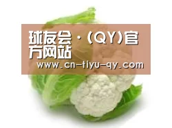 产品名称九