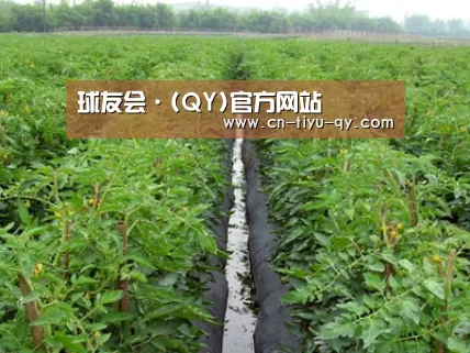 种植基地三