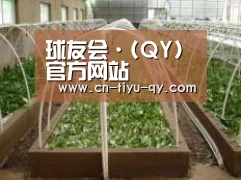 环境展示五