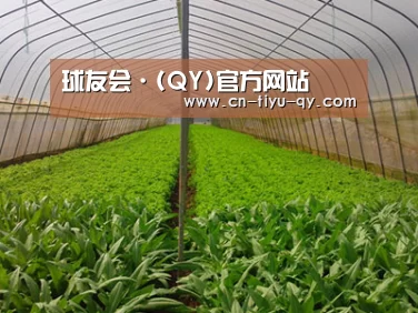 种植基地四